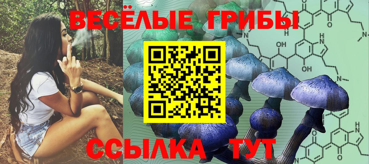 Псилоцибиновые грибы мухоморы  Вход с VPN  Михайловск 
